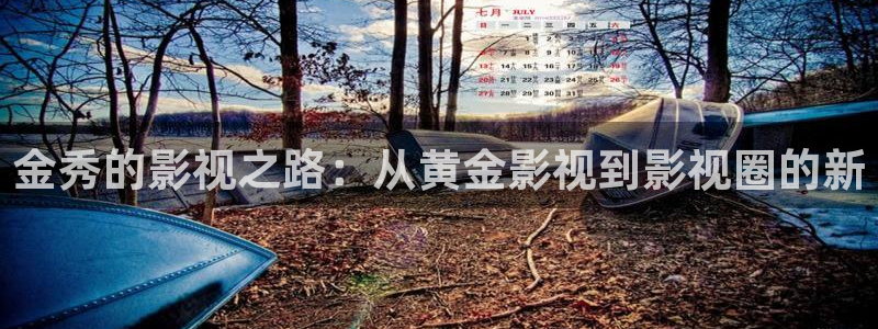 在線看國(guó)產(chǎn)麻豆影視：金秀的影視之路：從黃金影視到影視圈的新