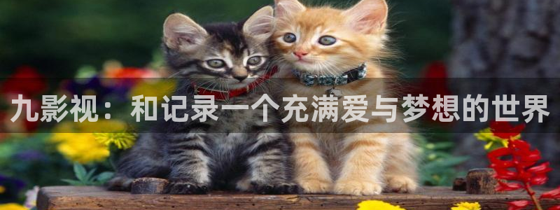 韓國麻豆電影：九影視：和記錄一個充滿愛與夢想的世界