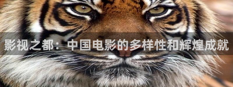 國產麻豆電影在線：影視之都：中國電影的多樣性和輝煌成就